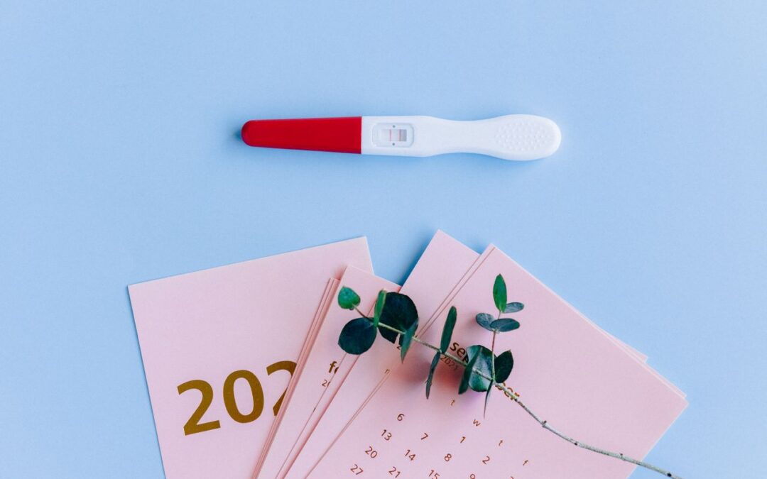 Safe Reproductive Healthcare: Legal Rights & Guidelines in South Africa